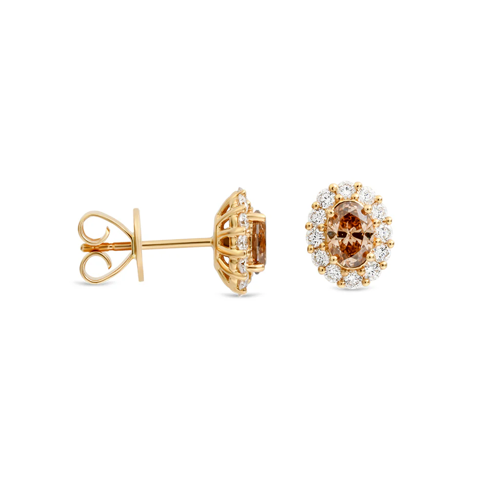 Oval Australian Chocolate Diamond & White Diamond Stud Earrings - Yellow Gold