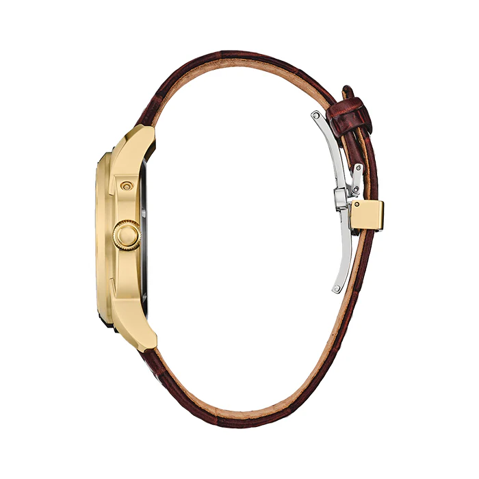 Citizen Moon Phase Collection Watch - BU0082-06P - Image 2